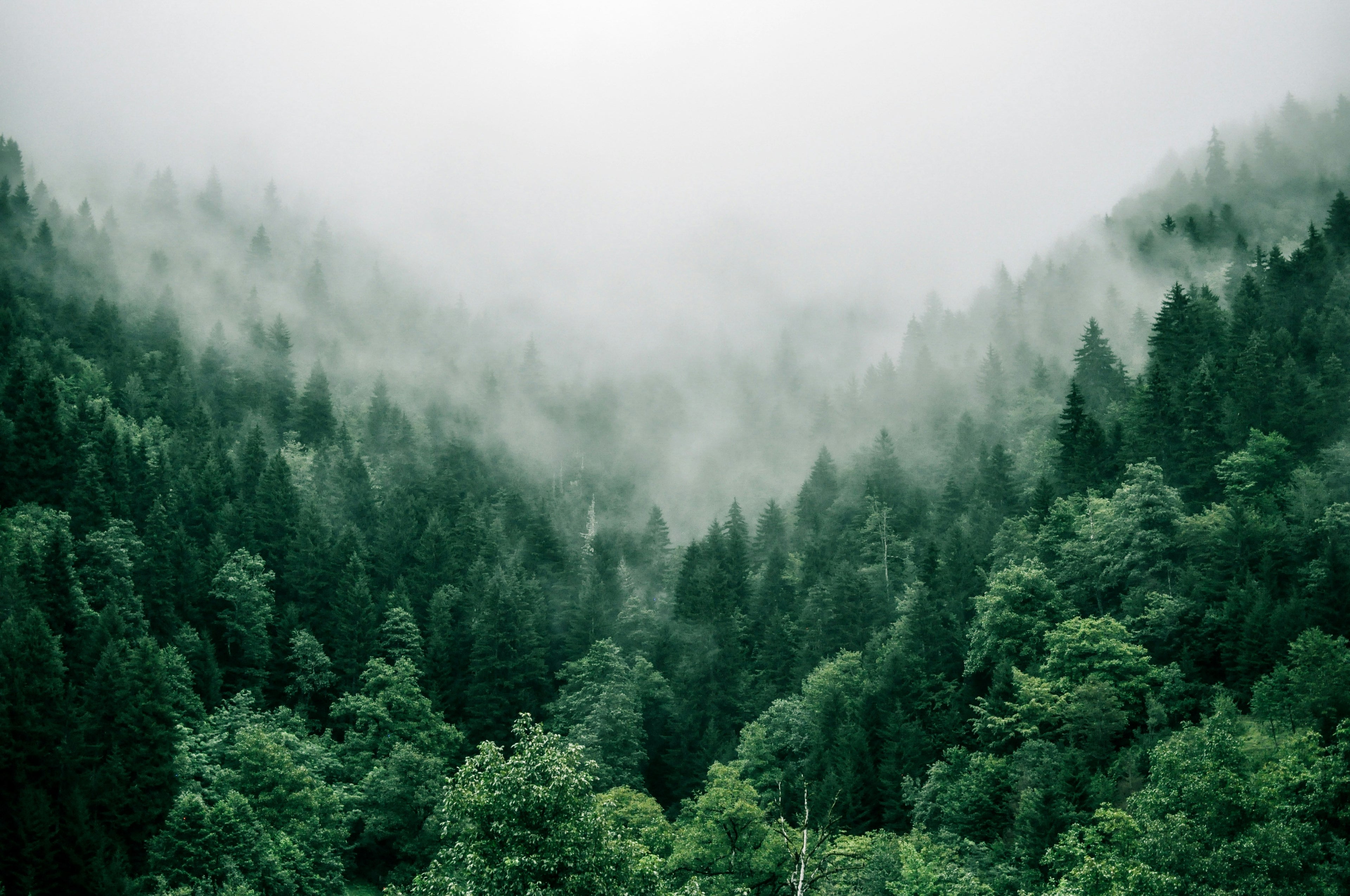 ALVËA — Beauté naturelle et rituels conscients